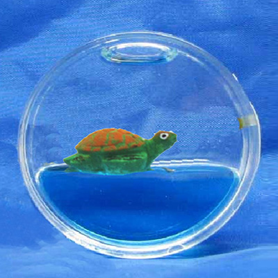 Magnet Round Turtle Floater